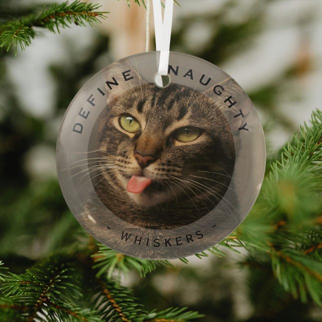 Funny Pet Define Naughty Christmas Photo Glass Glass Tree Decoration (Creator Uploaded)