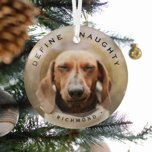 Funny Pet Define Naughty Christmas Photo Glass Tree Decoration