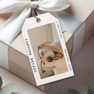 Funny Pet 'Define Naughty' Photo Christmas Gift Tags