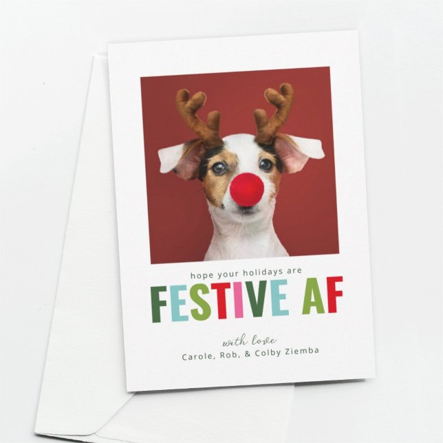 Funny Pet Dog Cat Photo Christmas Card Festive AF (Creator Uploaded)