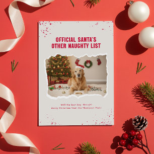 Funny Pet Dog Photo Christmas Holiday Postcard
