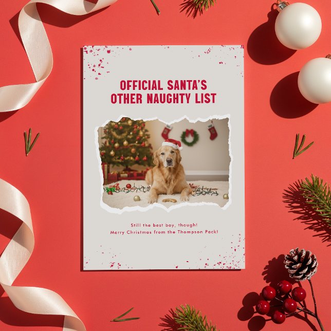 Funny Pet Dog Photo Christmas Holiday Postcard (Creator Uploaded)