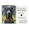 Funny Pet Dog Save The Date Card