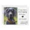 Funny Pet Dog Save The Date Card
