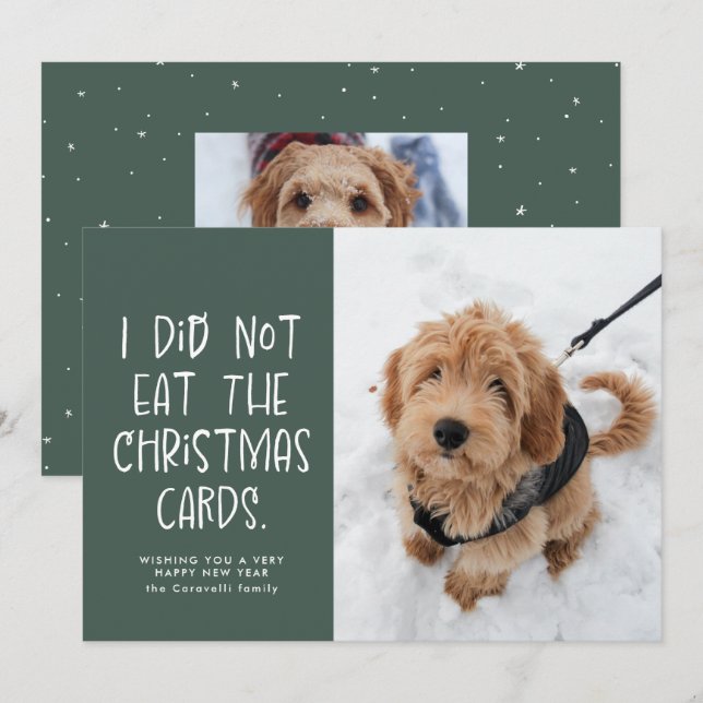 Funny pet green photo New Year Holiday Card (Front/Back)