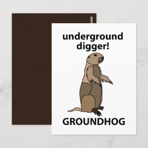 Funny Pet Groundhog Postcard