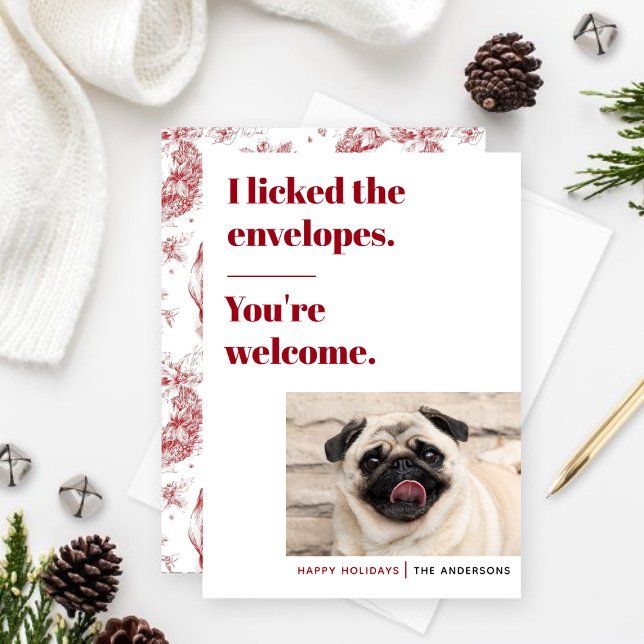 Funny Pet Holiday Card (Funny Pet Holiday Card)