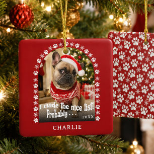 Funny Pet Photo Ceramic Ornament