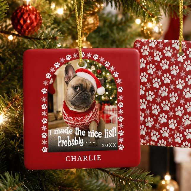 Funny Pet Photo Ceramic Ornament (Creator Uploaded)