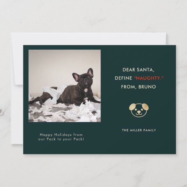 Funny Pet Photo Christmas Holiday Card (Front)