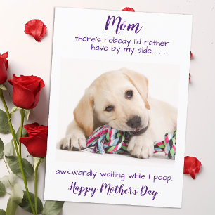 Funny Pet Photo Personalised Dog Mum Mothers Day Holiday Card