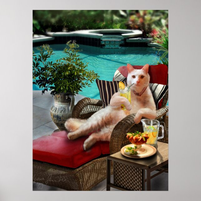Funny Pet Poster Cat Luxury Vacation (Front)