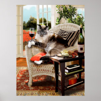 Funny Pet Poster Kitties Happy Hour