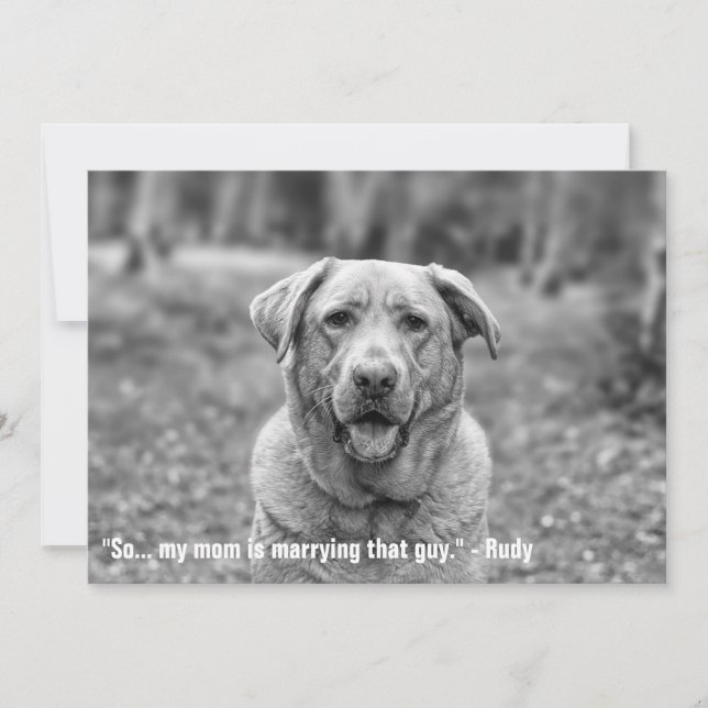 Funny Pet Save The Date Engagement Announcement (Front)