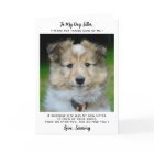 Funny Pet Sitter Custom Dog Photo Thank You Card