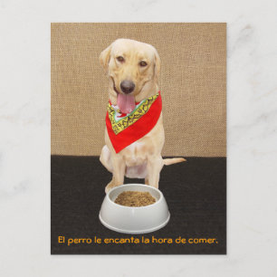 Funny Pet Spanish Postcard & Teaching Aid