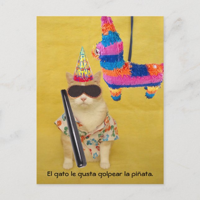 Funny Pet Spanish Postcards for Fun or Teaching (Front)