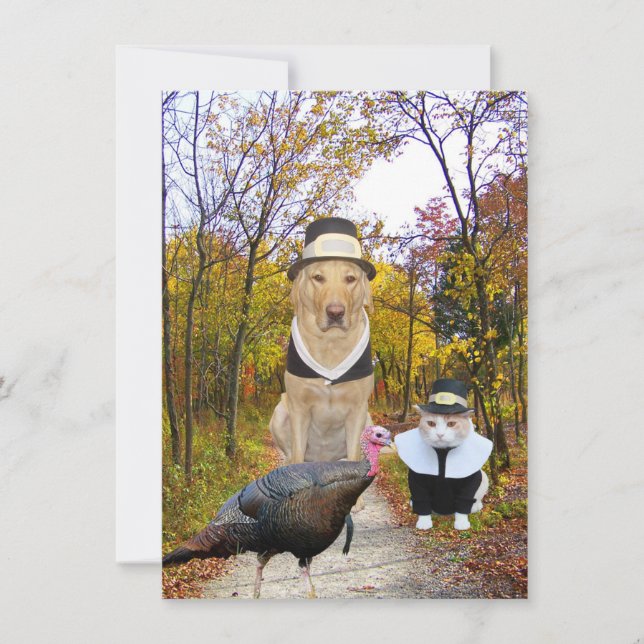Funny Pets Thanksgiving Invitation (Front)