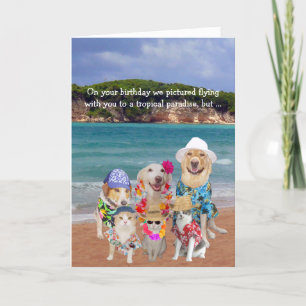 Funny Pets Tropical Paradise Birthday Card