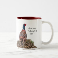 Funny Pheasant and Slogan - Are You Following Me?