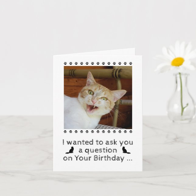Funny Photo Cat Dog Pet Birthday Card (Small Plant)