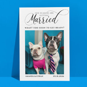 Funny Photo Dog-Themed Wedding Save The Date