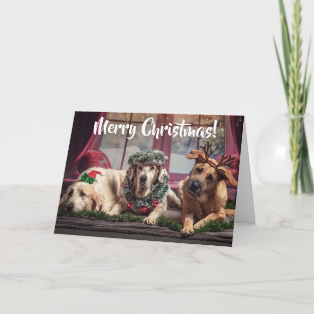 Funny Photo Dogs in Christmas Antlers and Headwear Holiday Card (Front)