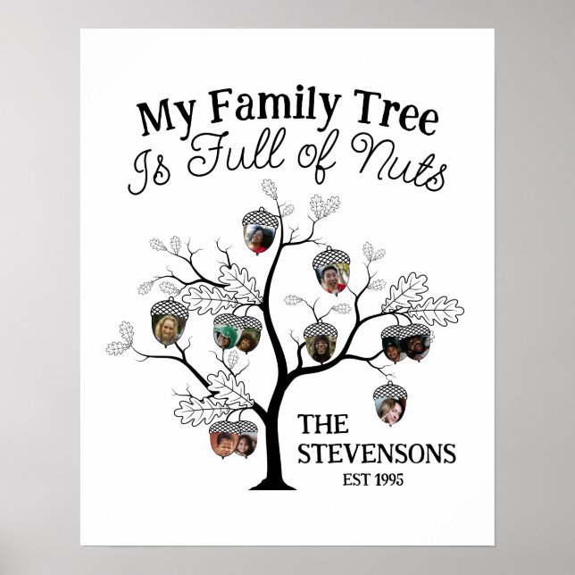 Funny Photo Family Tree is Full of Nuts Christmas  Poster (Front)