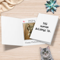 Funny Photo From Cat This Human Belongs To