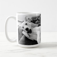 Funny Photo of Happy Dog B & W Photography
