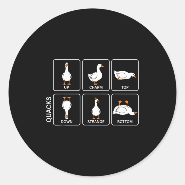 Funny physics pun duck quacks meme cute goose classic round sticker (Front)