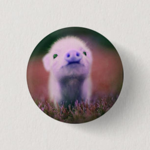 funny pig 3 cm round badge