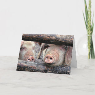 Funny Pig Custom Birthday Card