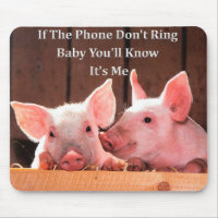 Funny Pig Memes with funny pig sayings and quotes