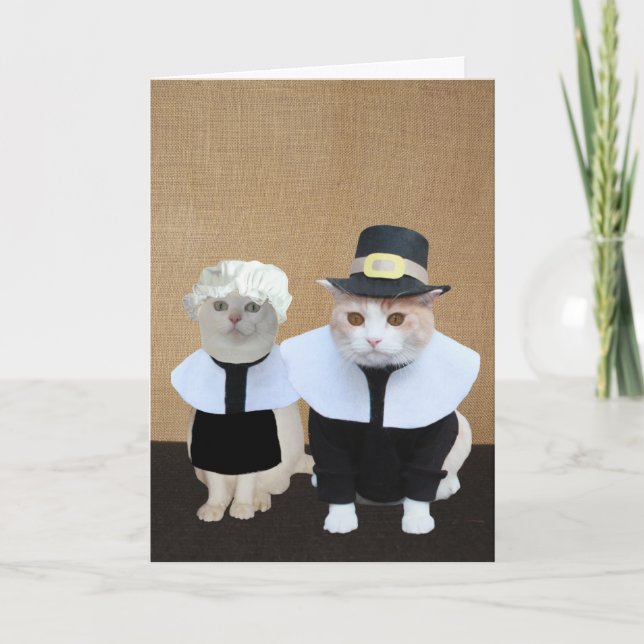 Funny Pilgrim Cats Thanksgiving Card (Front)