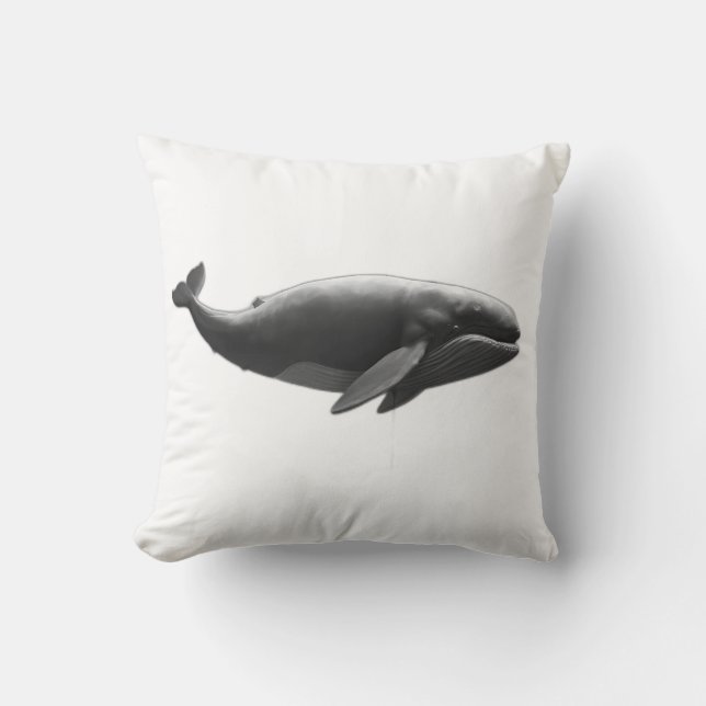 Funny pillow (Front)