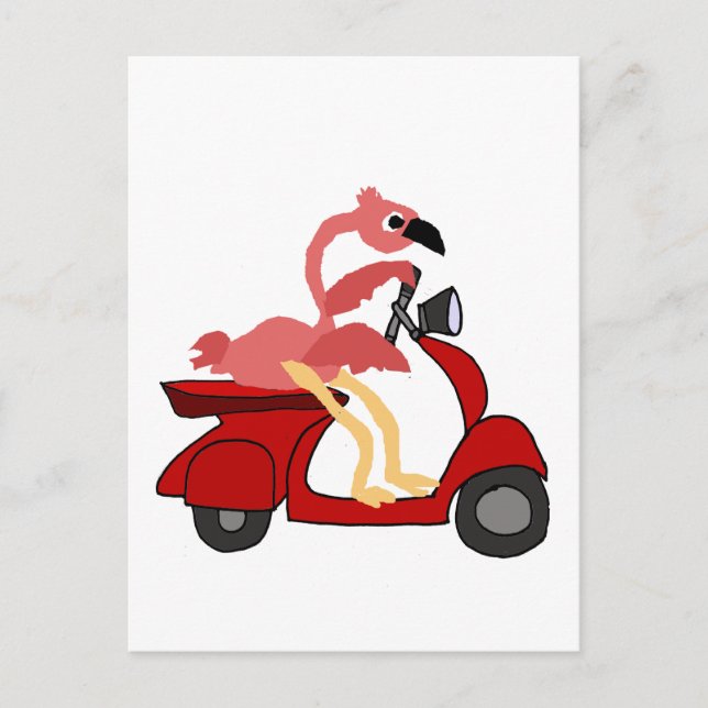 Funny Pink Flamingo Riding Motor Scooter Postcard (Front)