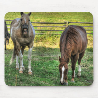 Funny Pinto Stallion & Sorrel Mare Horse Friends Mouse Mat