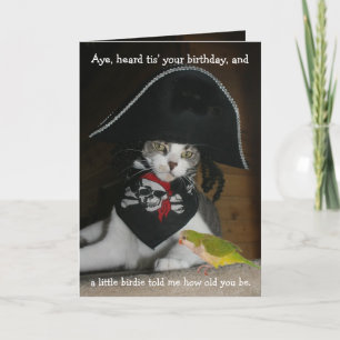 Funny Pirate Cat Card