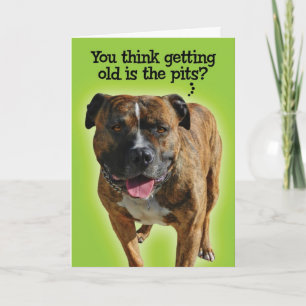 Funny Pit Bull Birthday Card