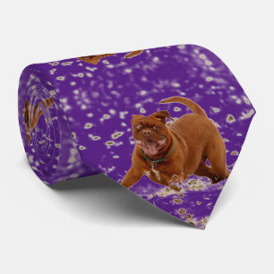 Funny pit bulls dogs tie