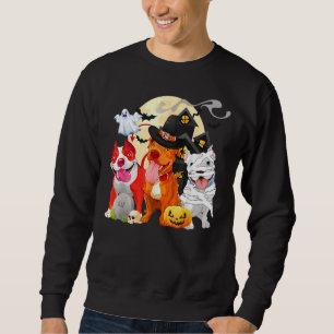 Funny Pitbull Dog Witch Hat Scary Pumpkin Hallowee Sweatshirt