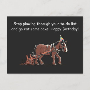 Funny Plowing Horse Birthday Greeting Postcard