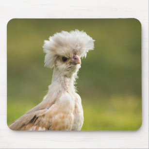 Funny Polish Chicken Mouse Mat