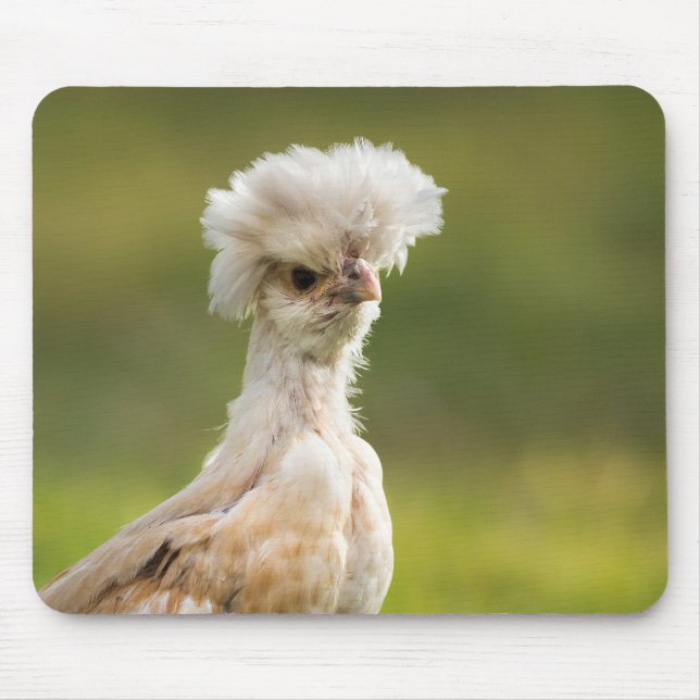 Funny Polish Chicken Mouse Mat (Front)