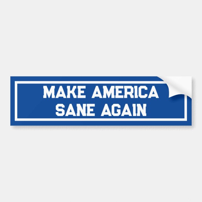 Funny Political Make America Sane Again Bumper Sticker (Front)