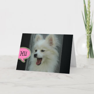 Funny Pom Hello Greeting Card