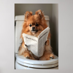 Funny Pomeranian Bathroom Print, Toilet Newspaper Poster