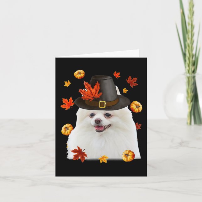 Funny Pomeranian Dog Pilgrim Hat Fall Happy Thanks Card (Front)