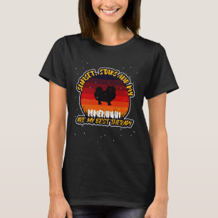 Funny Pomeranian  For Any Dog Sunset And Stars Lov T-Shirt